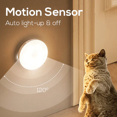 AUTOMATIC MOTION SENSOR LIGHT